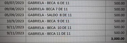 Support Gabriela for her Rural Practical Studies