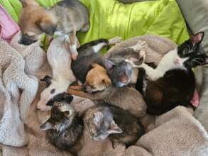 new arrivals keeping cosy