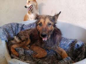male rescue needing help