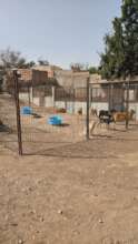 New enclosures at the Farm Refuge