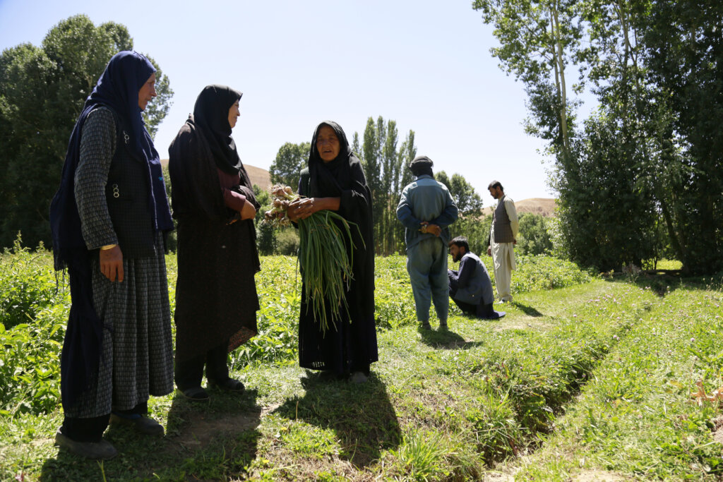 Provide relief to women in Afghanistan