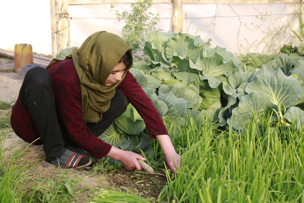 Provide relief to women in Afghanistan