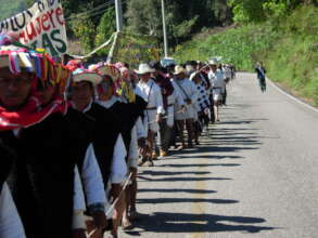 Las Abejad de Acteal