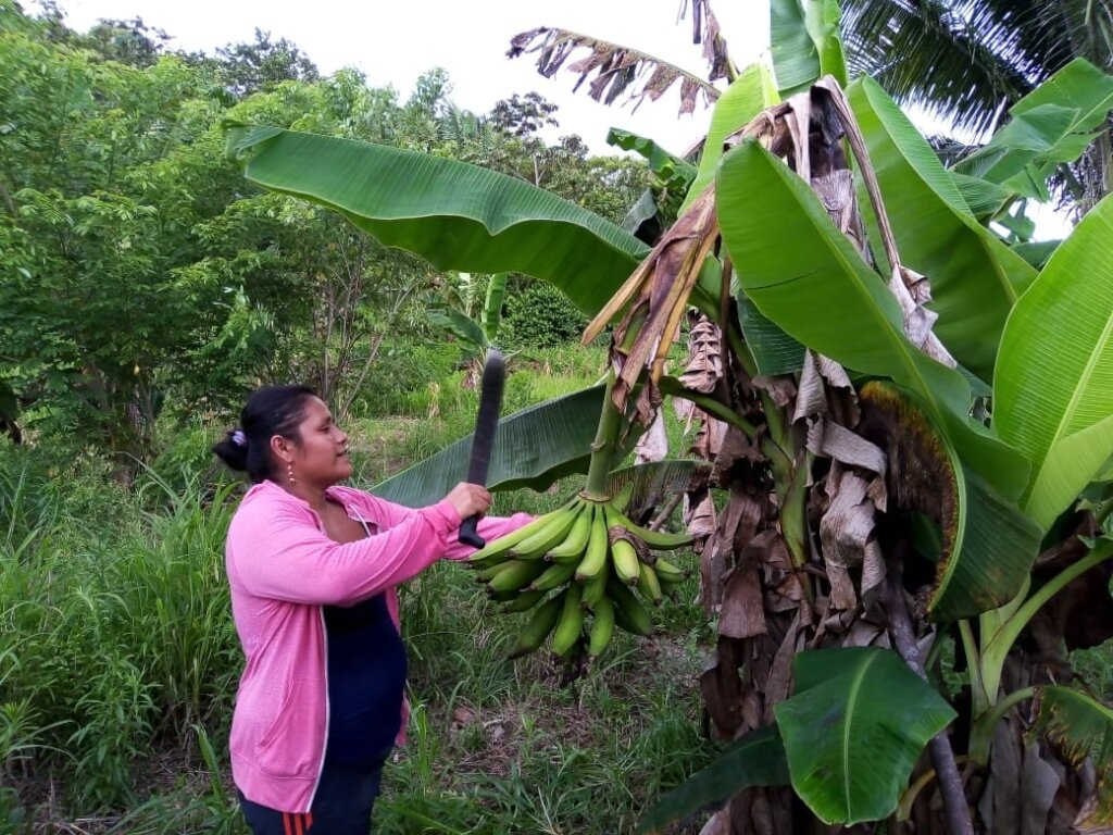 Empowering Women, empowering the Earth