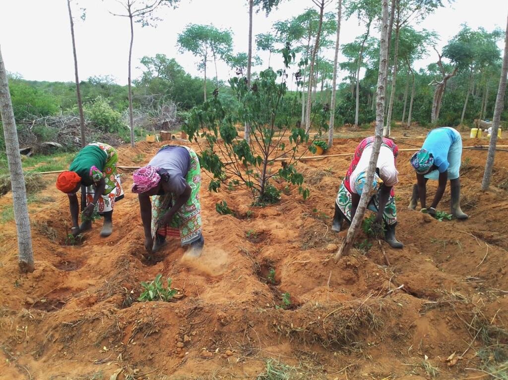 Empowering Women, empowering the Earth