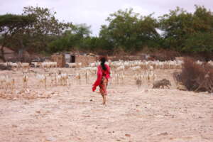 Dryland_Solutions_Somalia