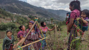 Contour Lines, Guatemala