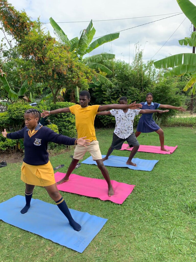 Bring Health and Wellness to Imagine Scholar!