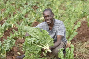 One Acre Fund Farmer John from Kenya