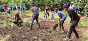 Readying the garden