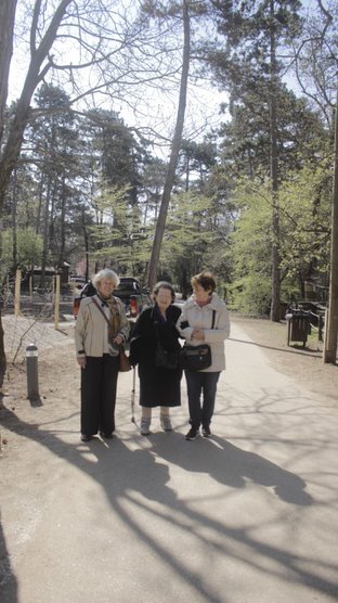 Visit in a wild park