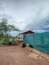 new shade roof (behind the shade greenhouse)