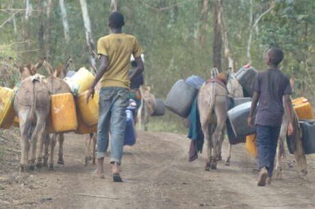 Give 250 households clean water in Tanzania!