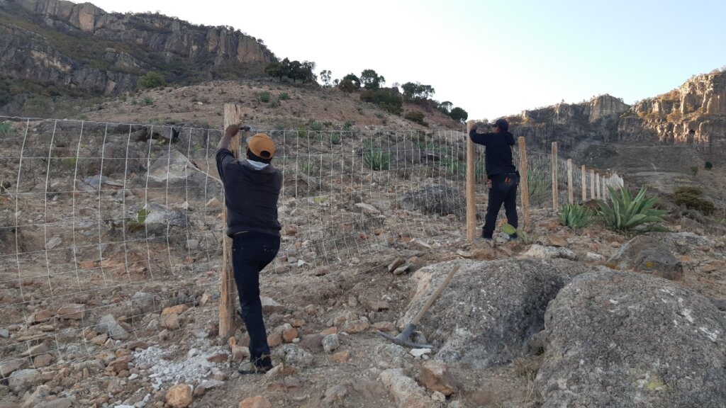 Forest restoration in northern Mexico