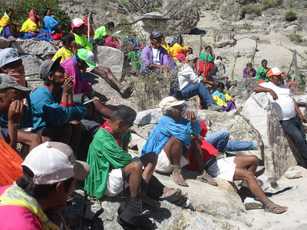 Forest restoration in northern Mexico