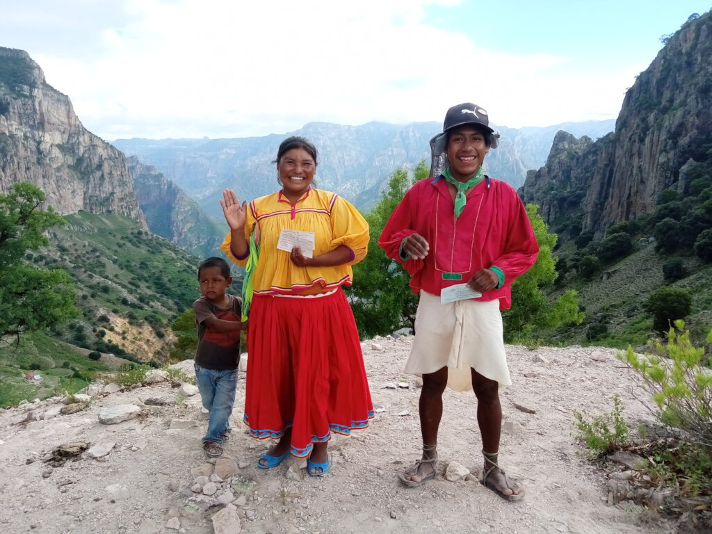 Forest restoration in northern Mexico
