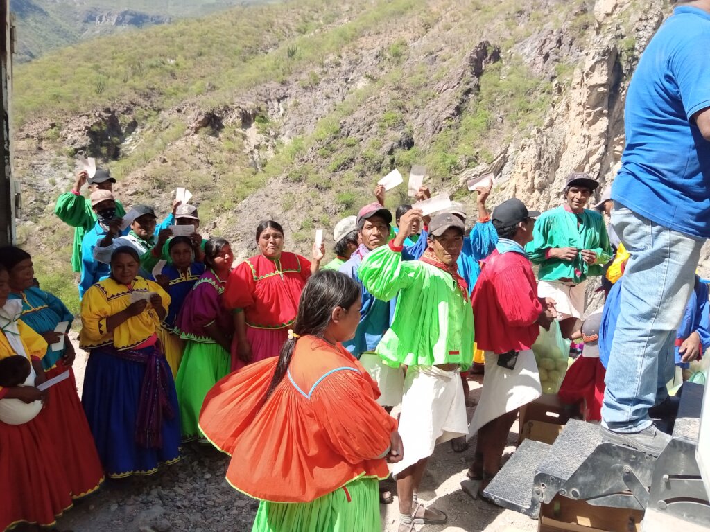 Forest restoration in northern Mexico