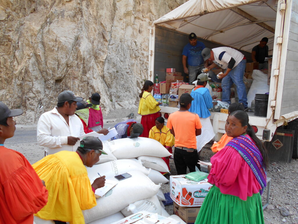 Forest restoration in northern Mexico