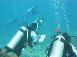 Monitoring the ecosystem
