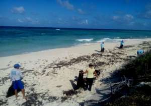 On a beach clean with the guides