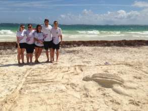 Sand castle building at the annual turtle festival