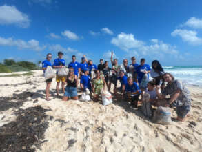 Beach clean ups