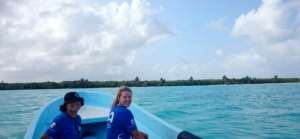 On one of the tours to see what the guides see!