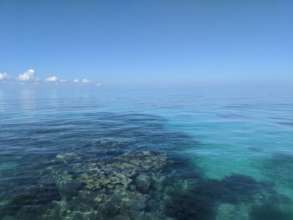 The reef at Isla Contoy