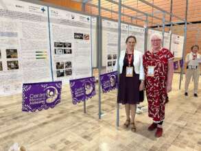 ADI's international Alzheimers conference in Lyon
