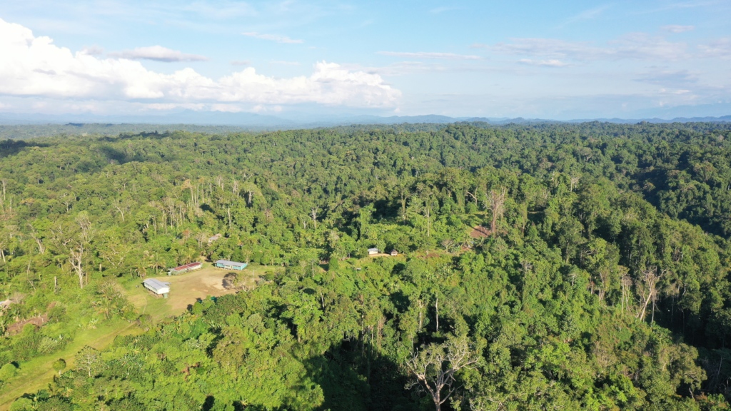 Wanang Conservation School and Wanang forests