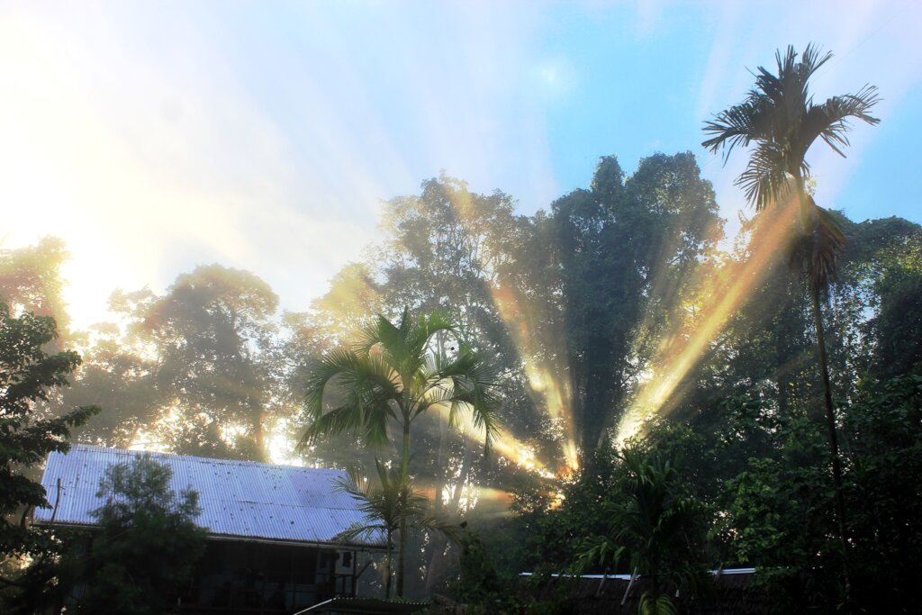 The FIGS Club - Educating Tomorrow's Scientists