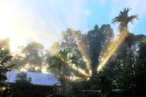 Sunrise over Wanang Conservation Area