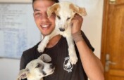 Give 550 Moroccan street animals food & shelter