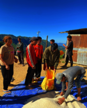 Food grants being distributed to refugees