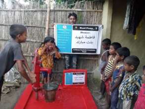 Hand Pump