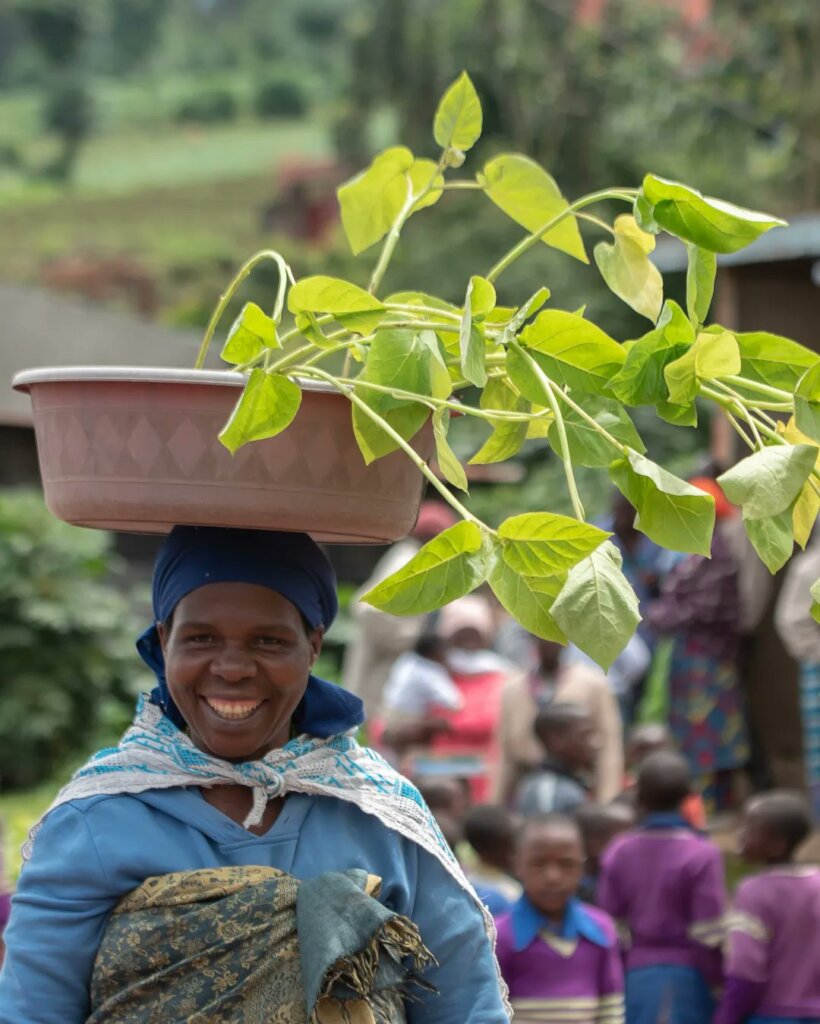 Save the planet with tree planting