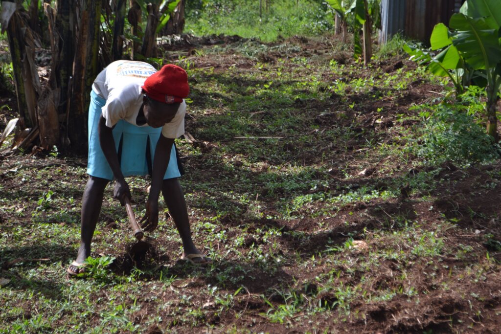 Save the planet with tree planting