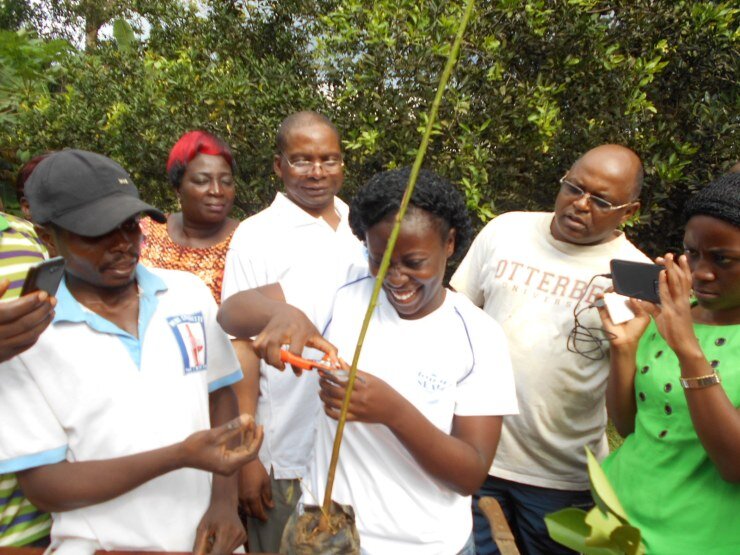 Save the planet with tree planting