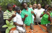 Save the planet with tree planting