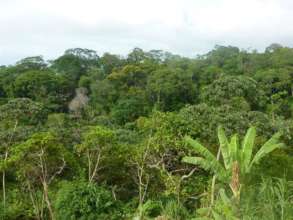 View from our classroom- into the jungle beyond!