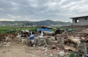 Feed the Animals in Disaster Area