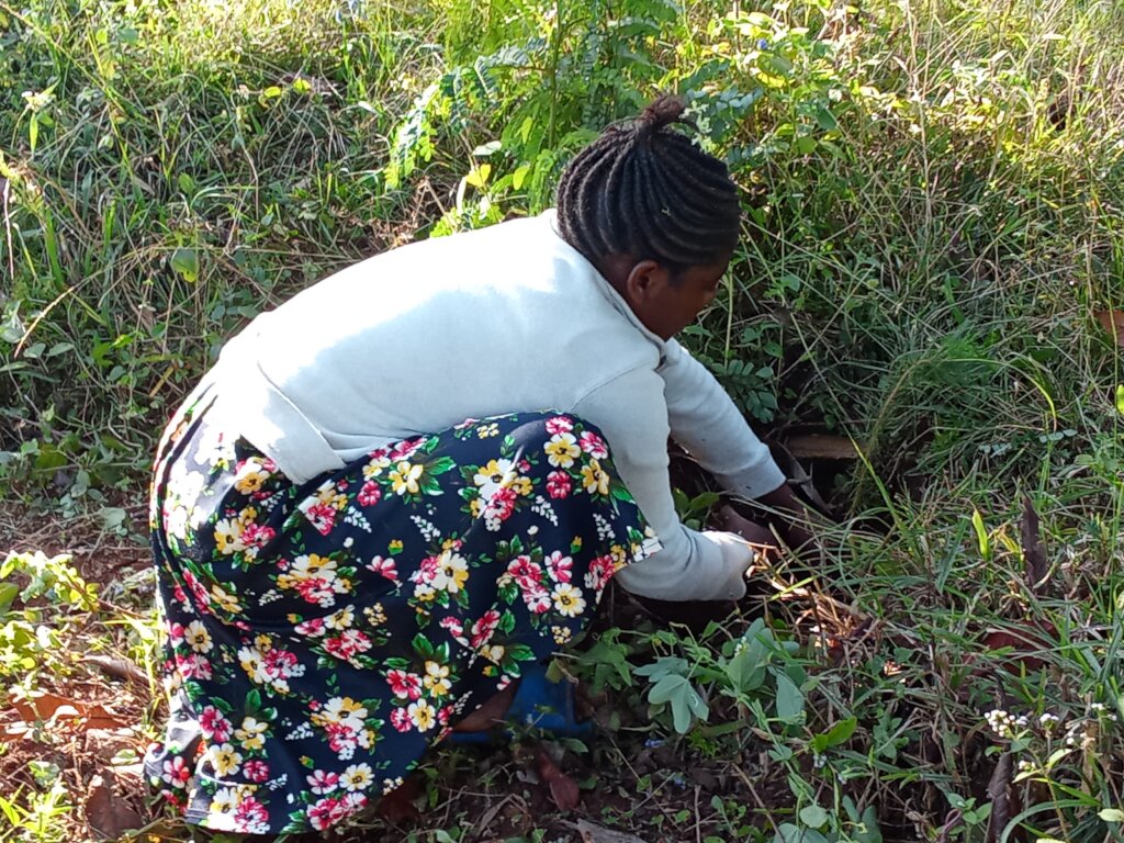 Help 3000 woman's with fruits trees at lushoto