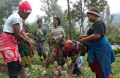 Help 3000 woman's with fruits trees at lushoto