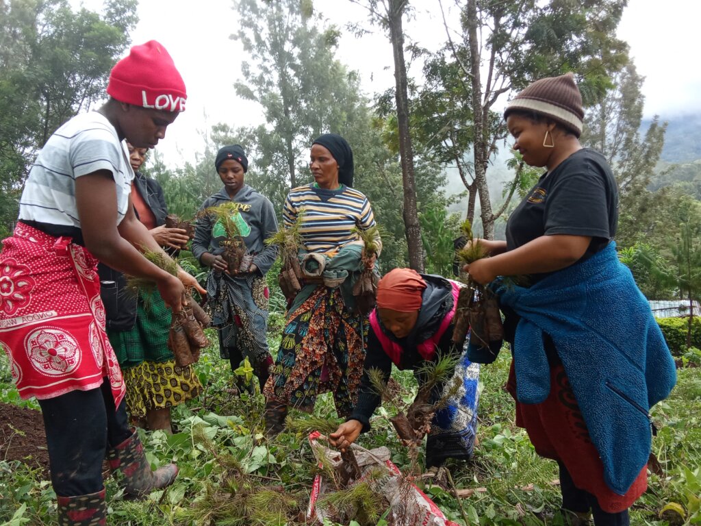 Help 3000 woman's with fruits trees at lushoto