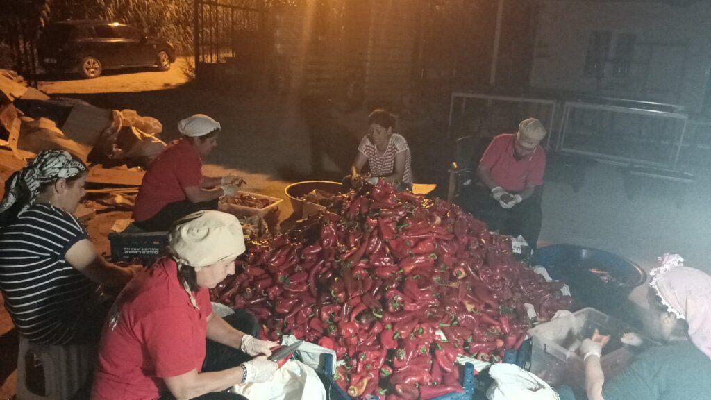 Reconstruction of Women's Cooperatives