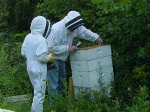 Help Afghan Women become beekeepers