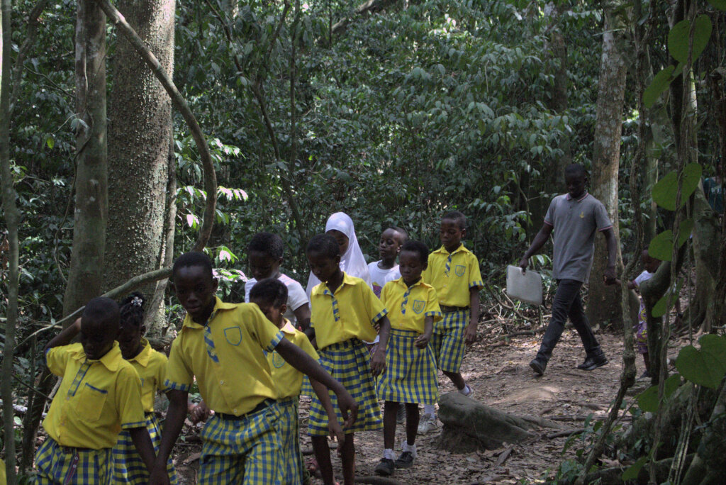 Field Trip to Kakum National Park