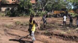 Preparation of the Plot (September 2022)