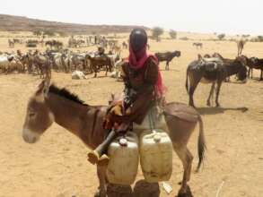 Donkeys carry clean water across the desert