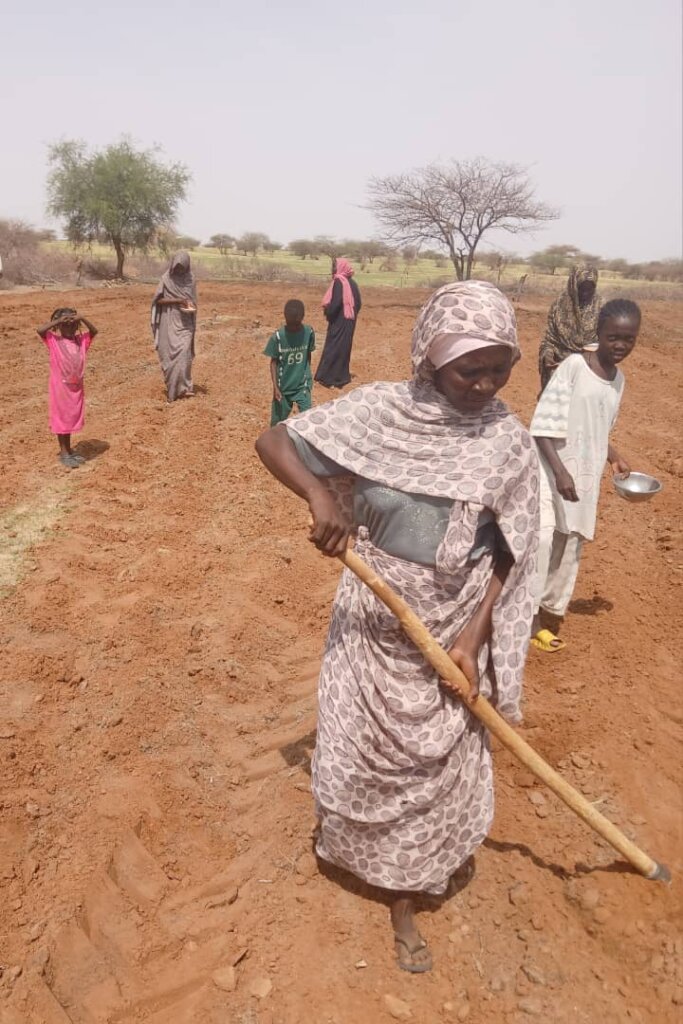 Families plant seeds before the rains come